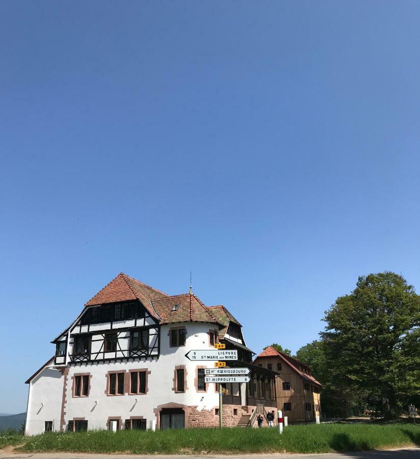 Апартаменти Logis Du Haut-Koenigsbourg Танненкірш Екстер'єр фото